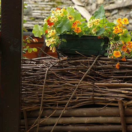 Residence Casa Dei Fiori 阿兰尼亚·瓦尔塞西娅 外观 照片